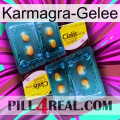 Karmagra Jelly cialis5